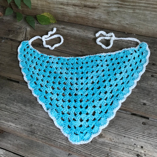 Blue Bandana